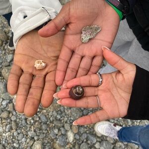 Meet your Posher, Edith